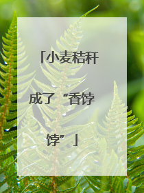 小麦秸秆成了“香饽饽”