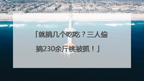 就摘几个吃吃？三人偷摘230余斤桃被抓！