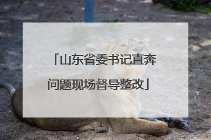 山东省委书记直奔问题现场督导整改