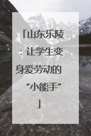 山东乐陵：让学生变身爱劳动的“小能手”
