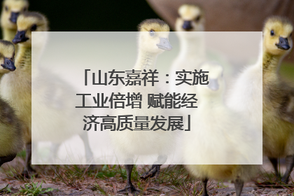 山东嘉祥：实施工业倍增 赋能经济高质量发展
