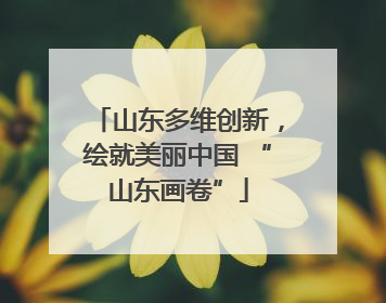 山东多维创新，绘就美丽中国 “山东画卷”