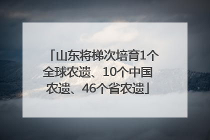 山东将梯次培育1个全球农遗、10个中国农遗、46个省农遗