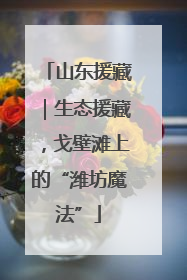 山东援藏｜生态援藏，戈壁滩上的“潍坊魔法”