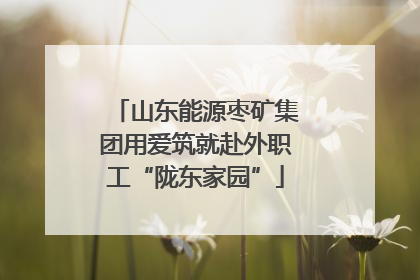 山东能源枣矿集团用爱筑就赴外职工“陇东家园”