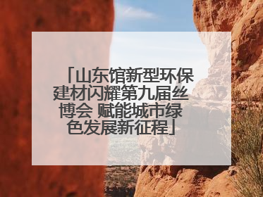 山东馆新型环保建材闪耀第九届丝博会 赋能城市绿色发展新征程