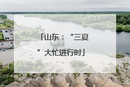 山东：“三夏”大忙进行时
