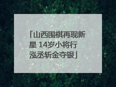 山西围棋再现新星 14岁小将行泓丞斩金夺银