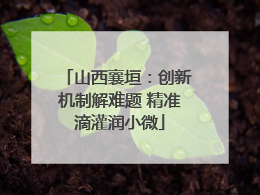 山西襄垣：创新机制解难题 精准滴灌润小微