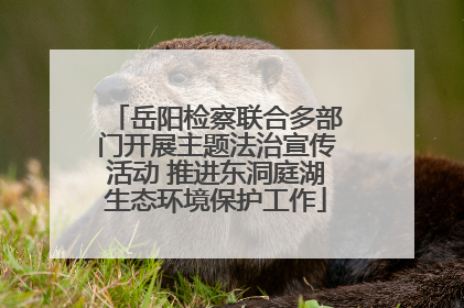 岳阳检察联合多部门开展主题法治宣传活动 推进东洞庭湖生态环境保护工作