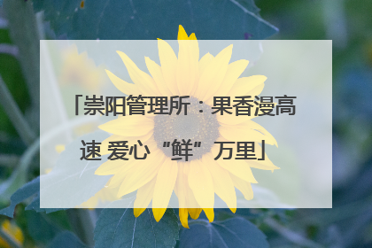 崇阳管理所：果香漫高速 爱心“鲜”万里