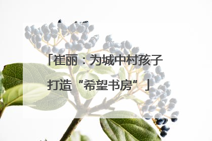 崔丽：为城中村孩子打造“希望书房”