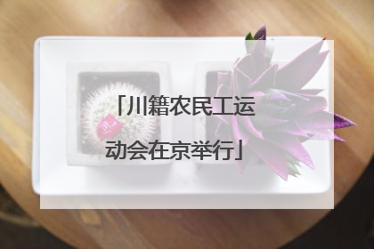 川籍农民工运动会在京举行