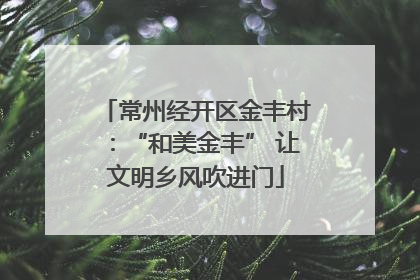 常州经开区金丰村：“和美金丰” 让文明乡风吹进门