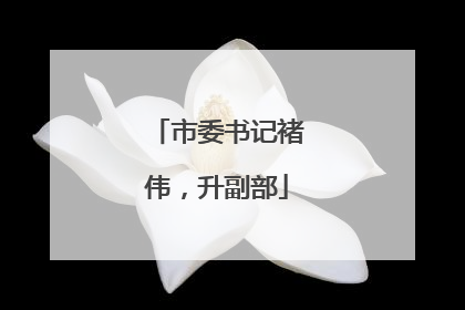 市委书记褚伟，升副部