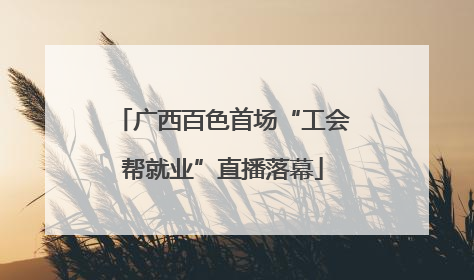 广西百色首场“工会帮就业”直播落幕