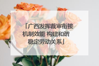 广西发挥裁审衔接机制效能 构建和谐稳定劳动关系