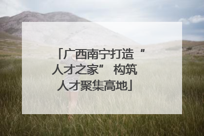 广西南宁打造“人才之家” 构筑人才聚集高地
