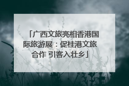 广西文旅亮相香港国际旅游展：促桂港文旅合作 引客入壮乡