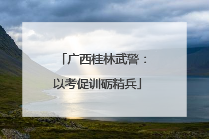 广西桂林武警：以考促训砺精兵