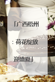 广西梧州：荷花绽放迎盛夏