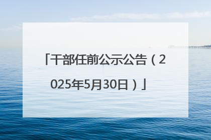 干部任前公示公告（2025年5月30日）