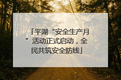 平湖“安全生产月”活动正式启动，全民共筑安全防线