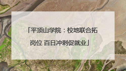 平顶山学院：校地联合拓岗位 百日冲刺促就业