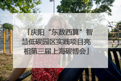 庆阳“东数西算”智慧低碳园区实践项目亮相第三届上海碳博会
