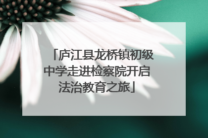 庐江县龙桥镇初级中学走进检察院开启法治教育之旅