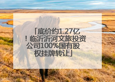 底价约1.27亿！临沂沂河文旅投资公司100%国有股权挂牌转让