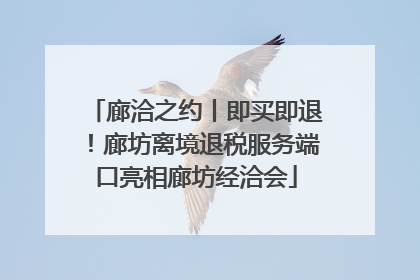 廊洽之约丨即买即退！廊坊离境退税服务端口亮相廊坊经洽会