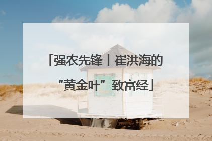 强农先锋丨崔洪海的“黄金叶”致富经