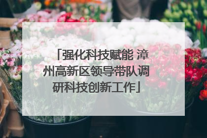 强化科技赋能 漳州高新区领导带队调研科技创新工作
