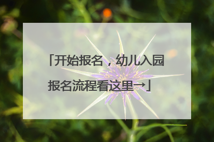 开始报名，幼儿入园报名流程看这里→