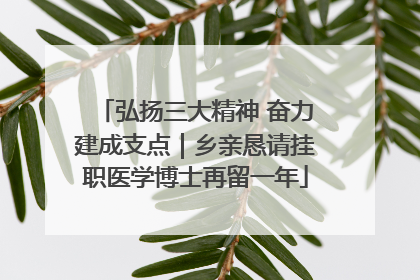 弘扬三大精神 奋力建成支点｜乡亲恳请挂职医学博士再留一年