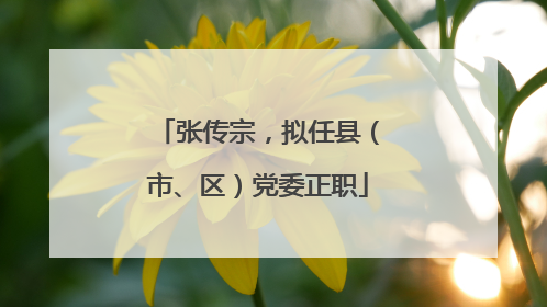 张传宗，拟任县（市、区）党委正职