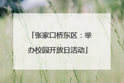 张家口桥东区：举办校园开放日活动