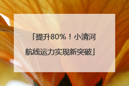 提升80％！小清河航线运力实现新突破