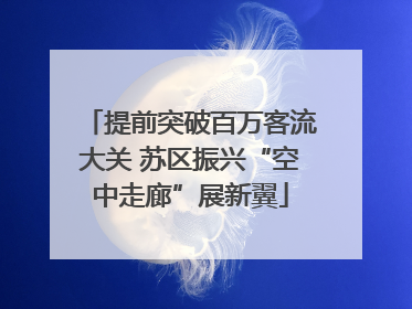 提前突破百万客流大关 苏区振兴“空中走廊”展新翼