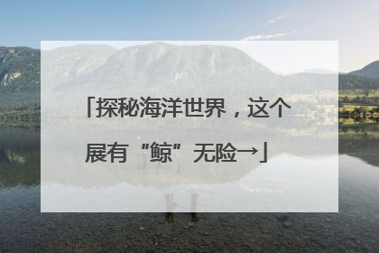 探秘海洋世界，这个展有“鲸”无险→