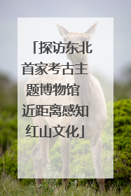 探访东北首家考古主题博物馆 近距离感知红山文化