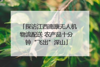探访江西南康无人机物流配送 农产品十分钟“飞出”深山