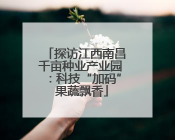 探访江西南昌千亩种业产业园：科技“加码” 果蔬飘香
