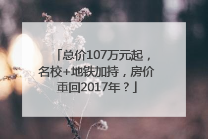 总价107万元起，名校+地铁加持，房价重回2017年？