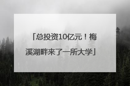 总投资10亿元！梅溪湖畔来了一所大学