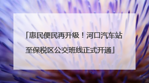 惠民便民再升级！河口汽车站至保税区公交班线正式开通