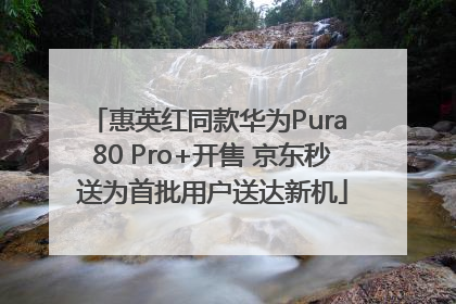 惠英红同款华为Pura 80 Pro+开售 京东秒送为首批用户送达新机