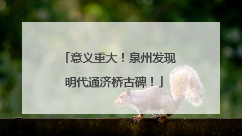 意义重大！泉州发现明代通济桥古碑！