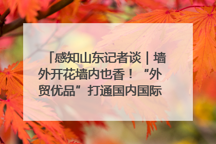 感知山东记者谈｜墙外开花墙内也香！“外贸优品”打通国内国际市场“旋转门”